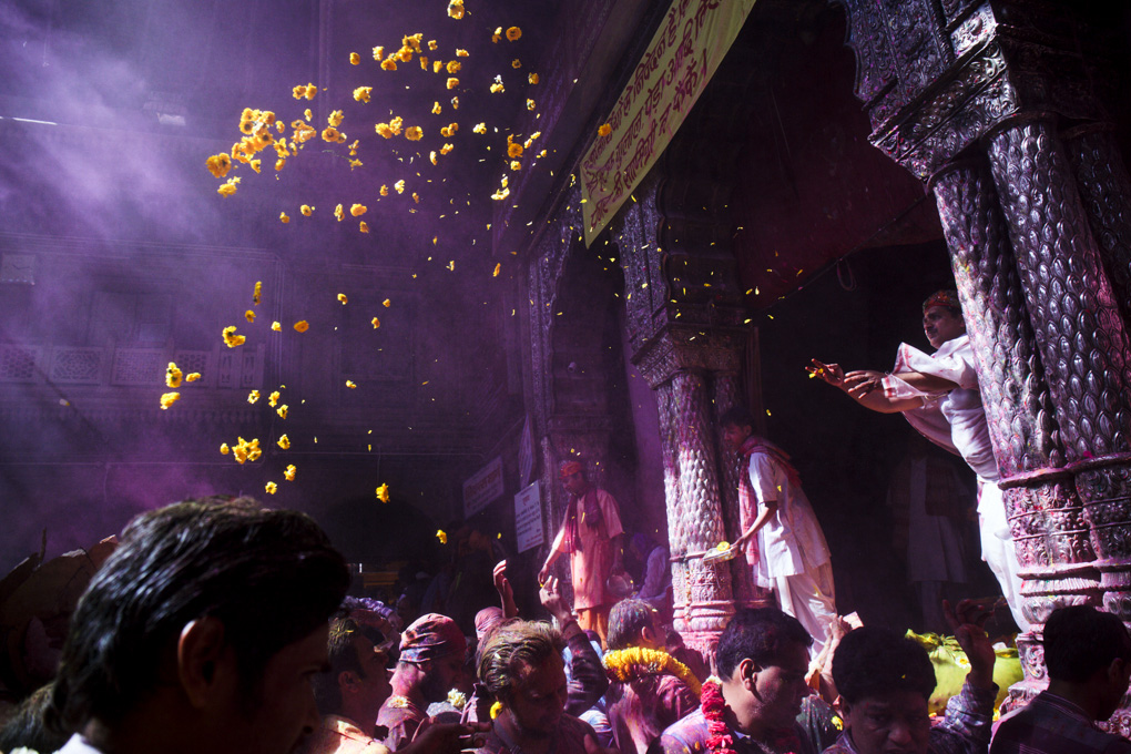 DIVING INTO THE COLORS OF HOLI